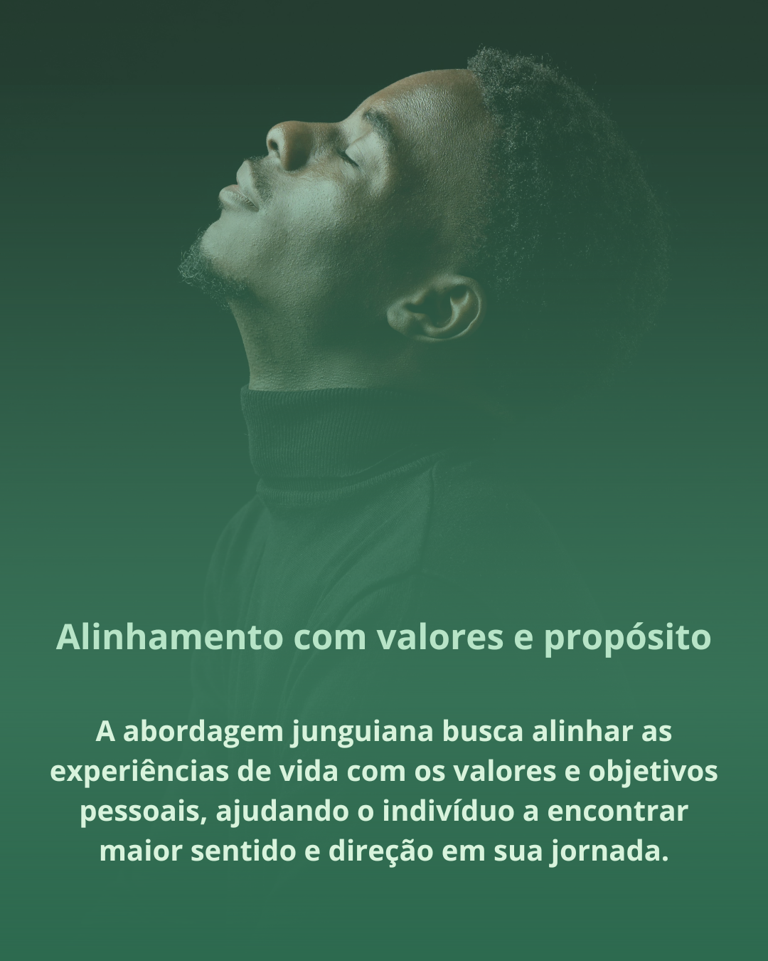 Carrosel Abordagem Junguiana site 1080 x 1350